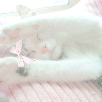 bow