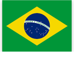 VACCINE BRAZIL