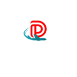 Delight Airlines