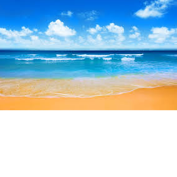 Photo with Happy and Ender