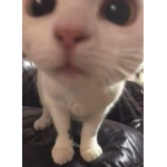 =Viibes=