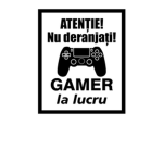 Roblox Gamers_@