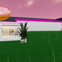 Role Play Donut Shop!