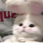 hii robux stuff