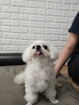 콸눨