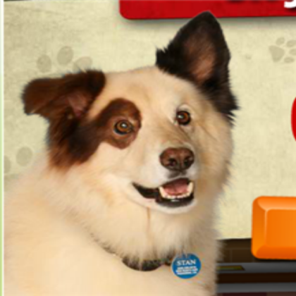 Dog With A Blog ( Stan ) Roblox decal