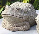 Sunnytoad Fanclub