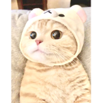 실친만..