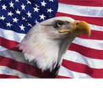 Patriotic Wonders For Justice