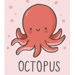 The octopus team