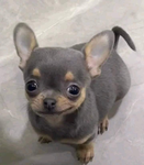 FranzWrldz