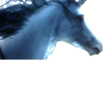 unicorn fans/ megan plays