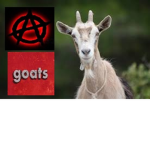 AnarchyGoats