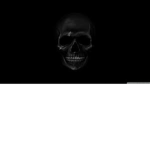 Flyin Skulls
