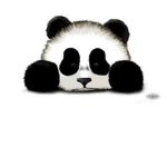 PANDA BOIIIIIIIS