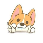 The Doggo squad :3