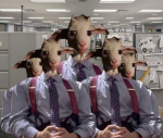 5Goats