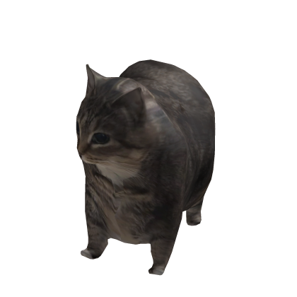 Goofy cat