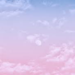 ᴍᴀɴɢᴏ sʟᴜsʜɪᴇs