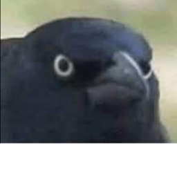 Yes