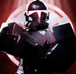 [RBR] Shadow Black Hole