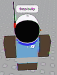 National Roblox Space Association (NRSA)