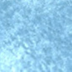 Icey's Clan (ICE clan)