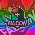 TEAM FALCON.