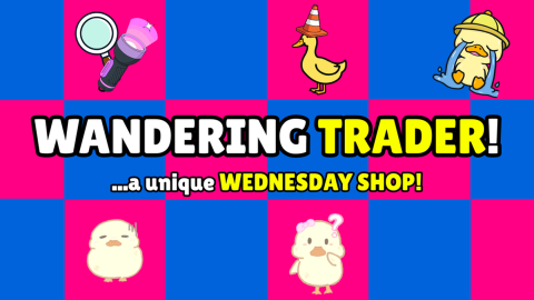 TRADER WEDNESDAY