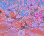 ~ByNikkita <3~