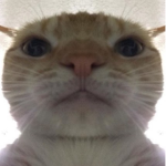 DupliCATS