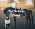 North Star Equine Academy