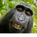 Monke Epik squad