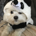 愛の美しさ