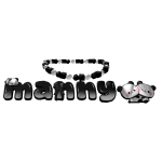 manny necklace