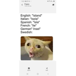 Ice cat fishy