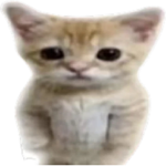 SolarGames