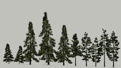 Realistic Spruce Pack preview 1