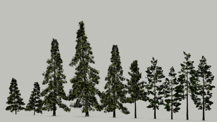 Realistic Spruce Pack preview 1