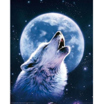 Wolf Pack X!