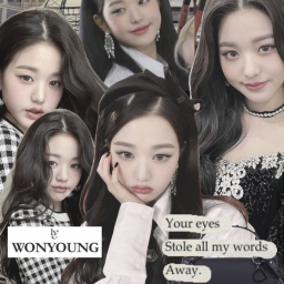 *:･ﾟ✧*:･ﾟ✧