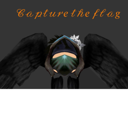 capture the flag
