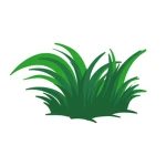Grass Grass Group Thumbnail