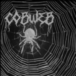 cobweb•