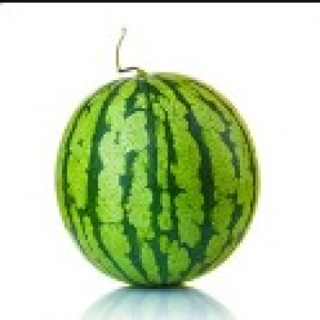 Water-Melon COMPANY