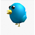 The cool birds