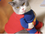PawsAlot :D