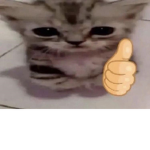 itto appreciation