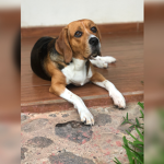 El Sotano De Santix