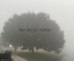the fog is coming and it shows no mercy